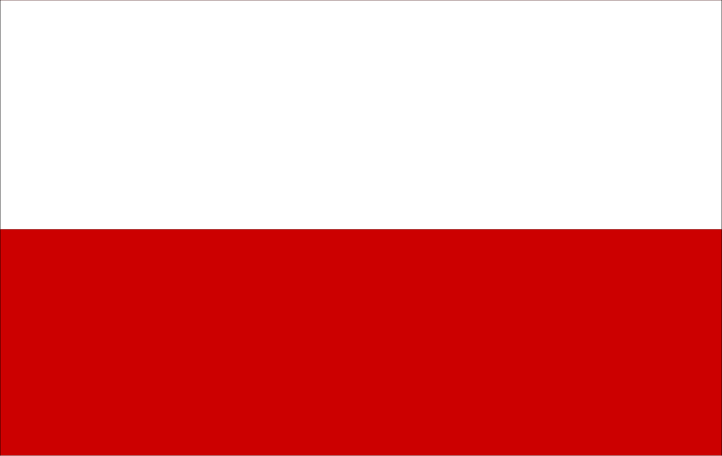 Corsi di polacco a Varsavia