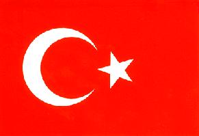 Tłumaczenia przysięgłe i zwykłe język turecki